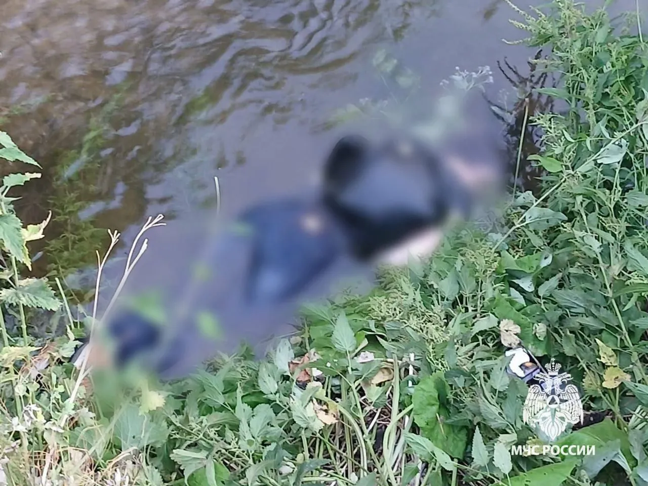В Башкирии из водоёмов извлекли трупы мужчины и женщины