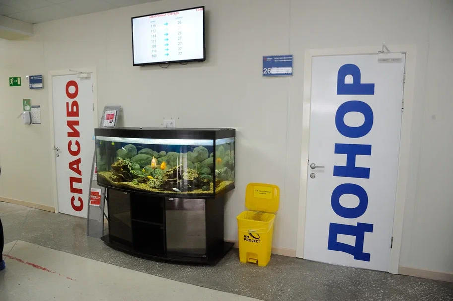 Медики Башкирии рассказали, как подготовиться к сдаче крови