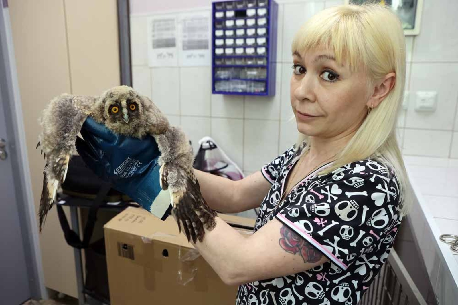 Александр ДАНИЛОВ  Клара Васильева начинала работать с птицами как волонтер.
