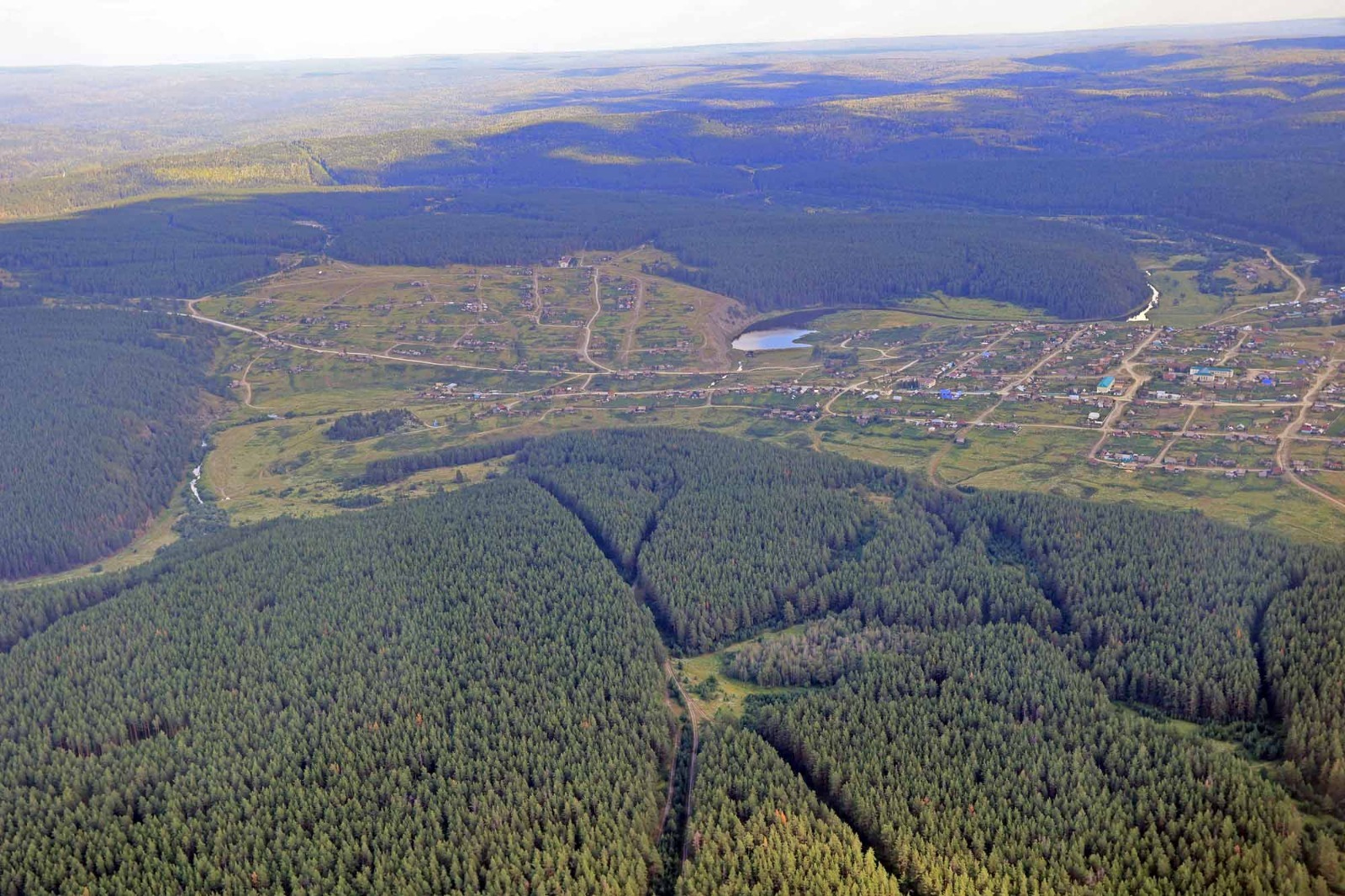 Александр ДАНИЛОВ  Наши леса нуждаются в эффективной защите, охране и восстановлении.