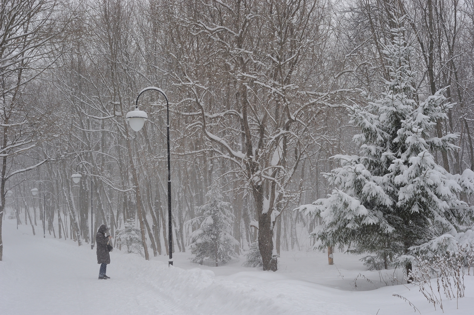 Жители Башкирии могут присоединиться к Всероссийской переписи воробьёв
