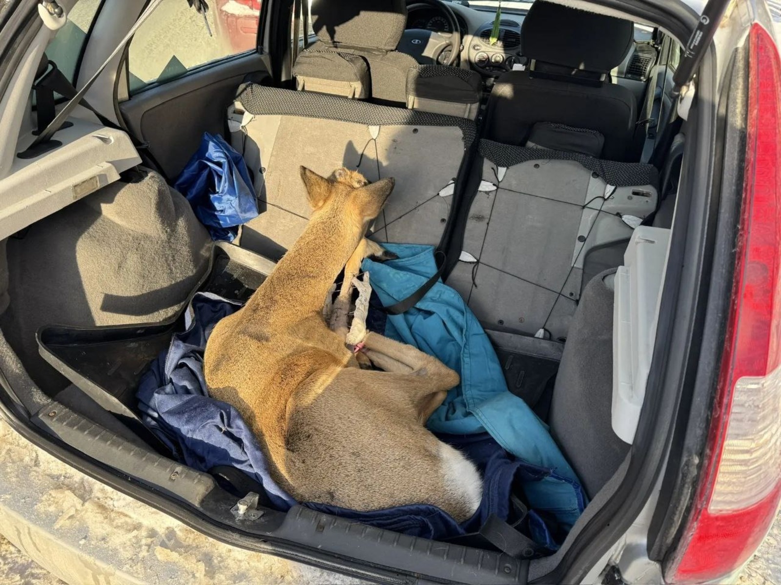 пресс-служба минэкологии РБ