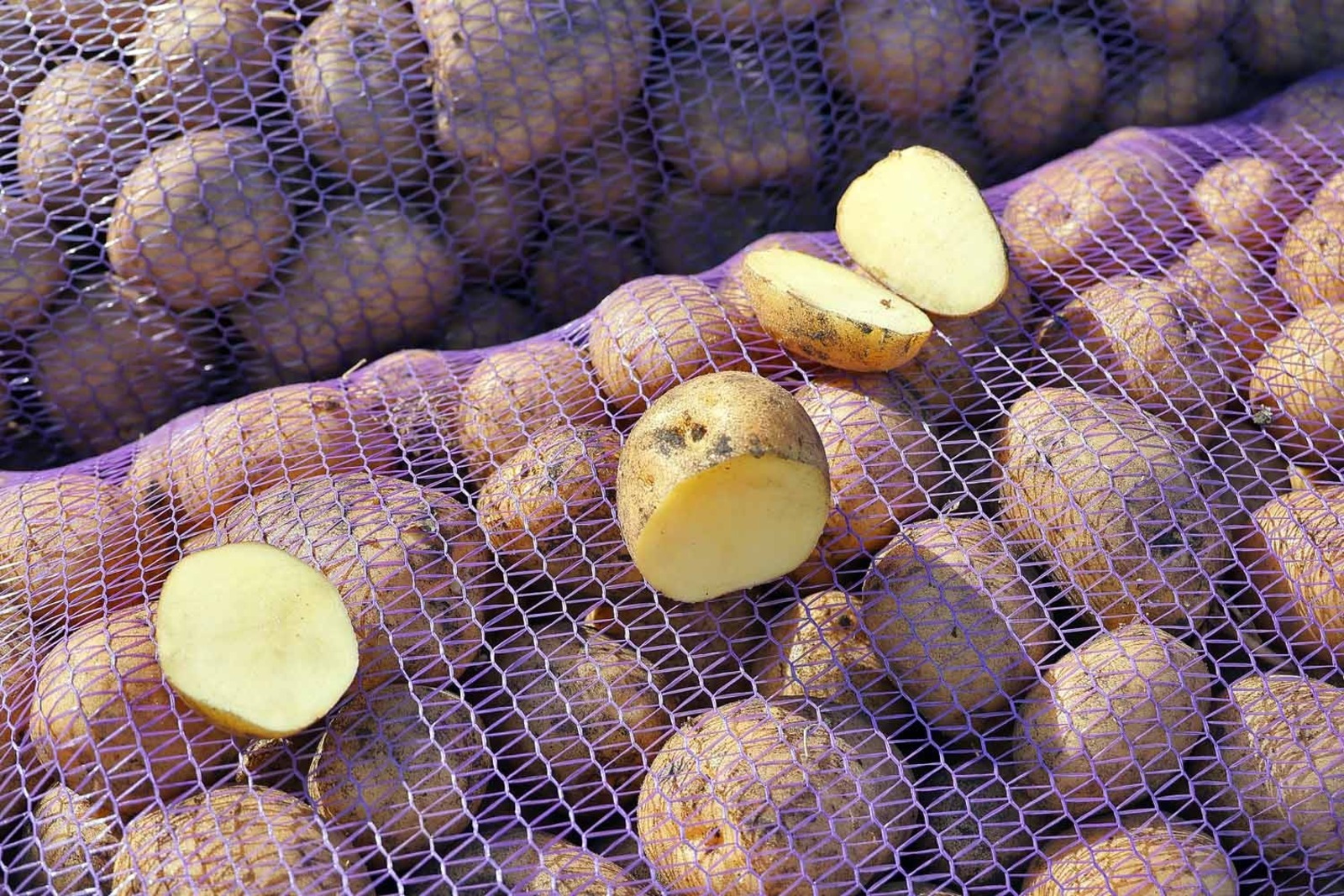 Александр ДАНИЛОВ