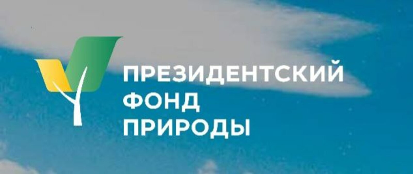 У Аскынской ледяной пещеры в Башкирии организуют трансляцию жизни воронов
