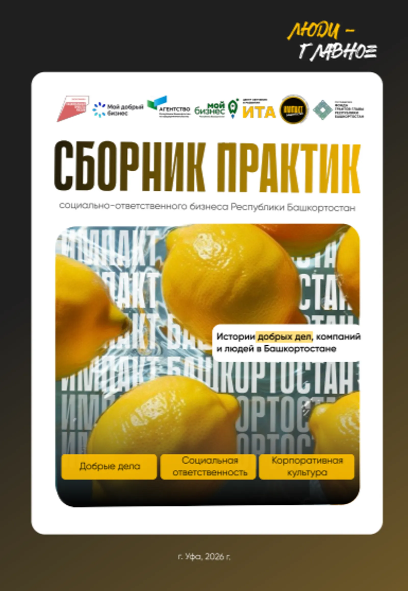 В Башкирии представили лучшие практики социального предпринимательства