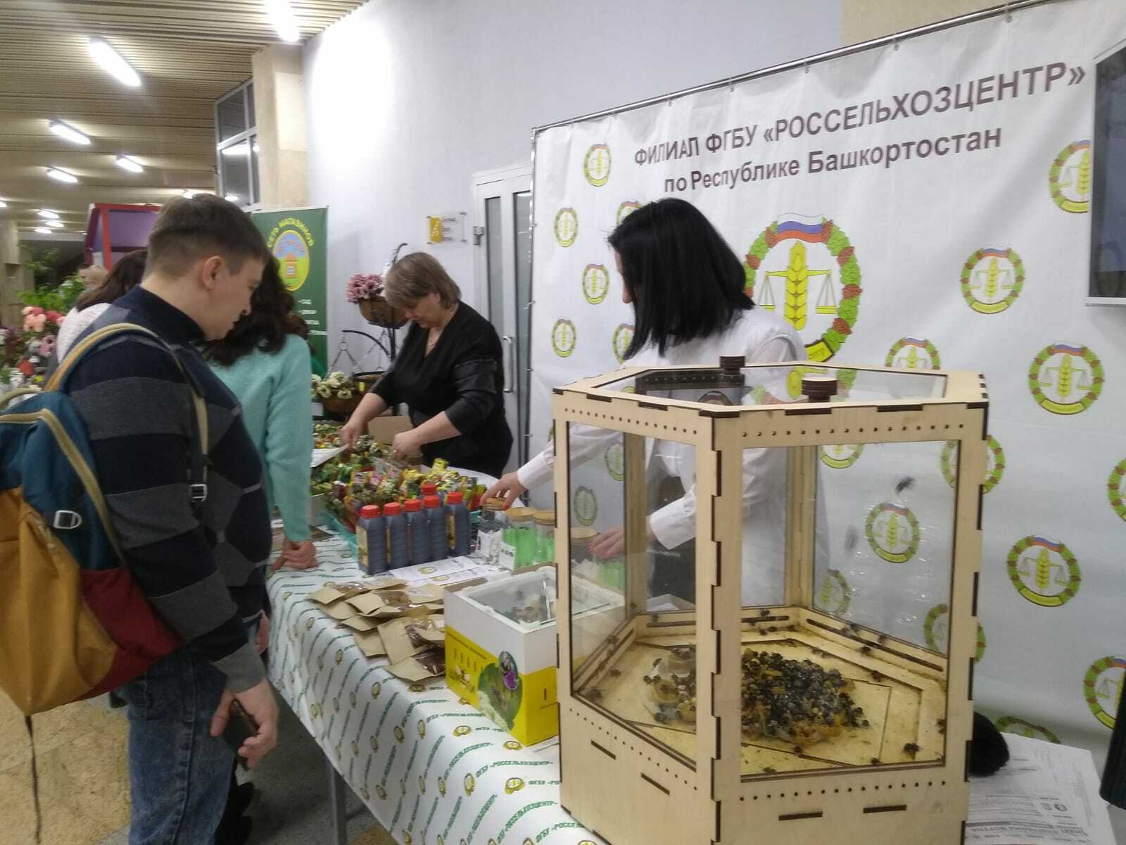 В Башкирию не пустят пчёл-нелегалов