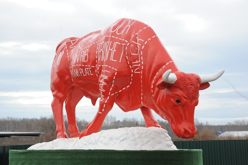 Радий Хабиров: В Башкирии запустили сразу три агропроизводства