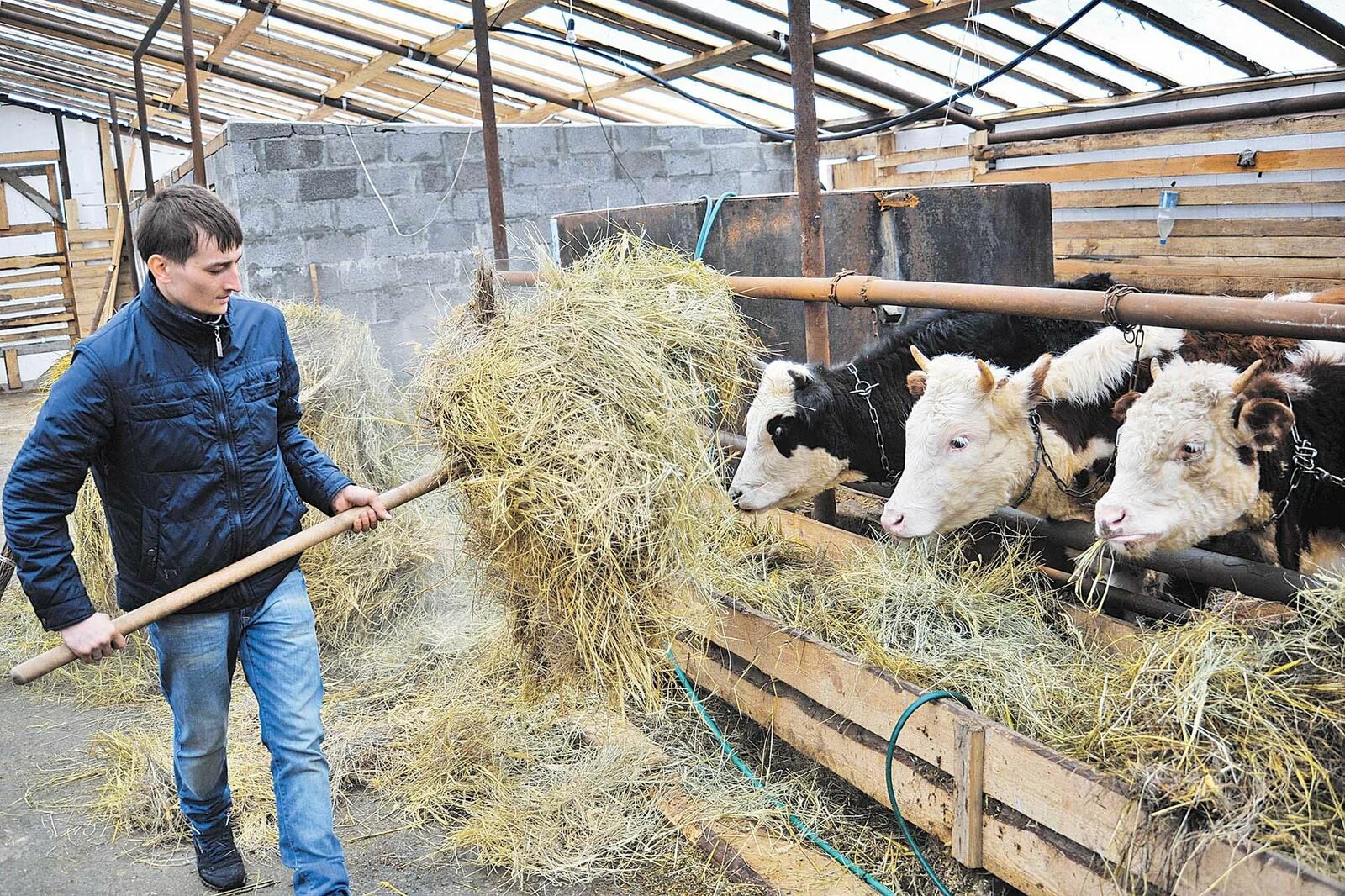 В Башкирии 28 фермеров стали обладателями грантов