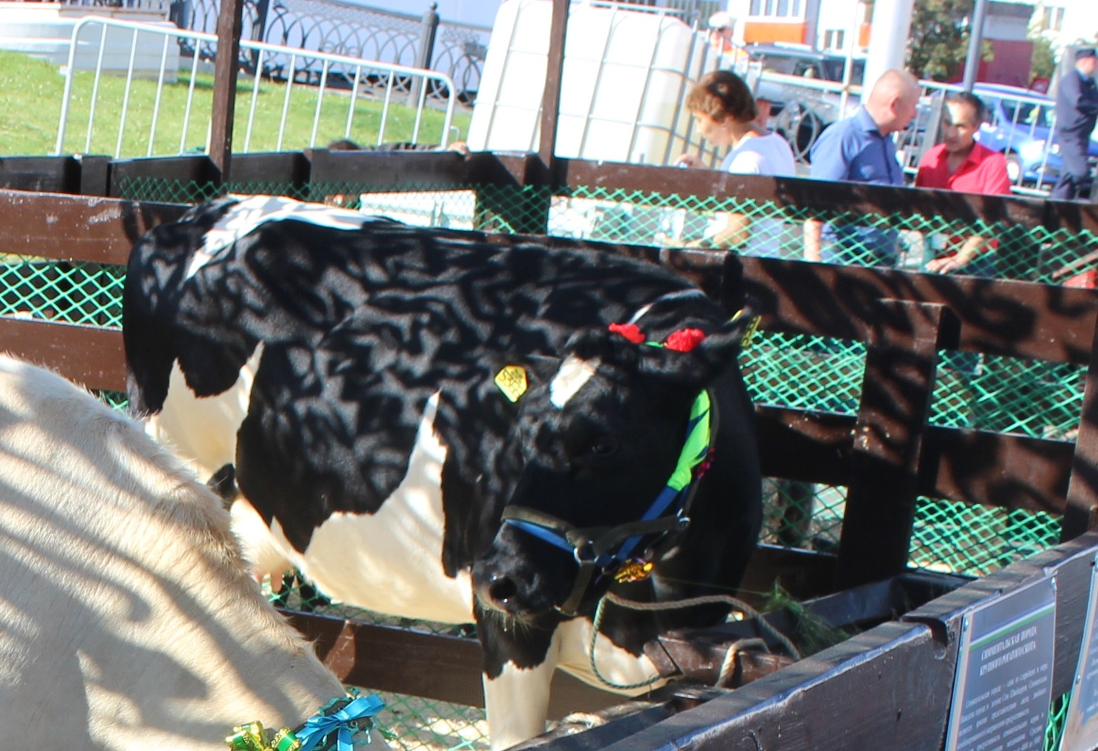 В Башкирии появится новый животноводческий комплекс