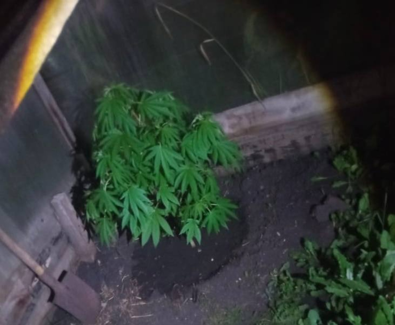 УМВД Стерлитамака