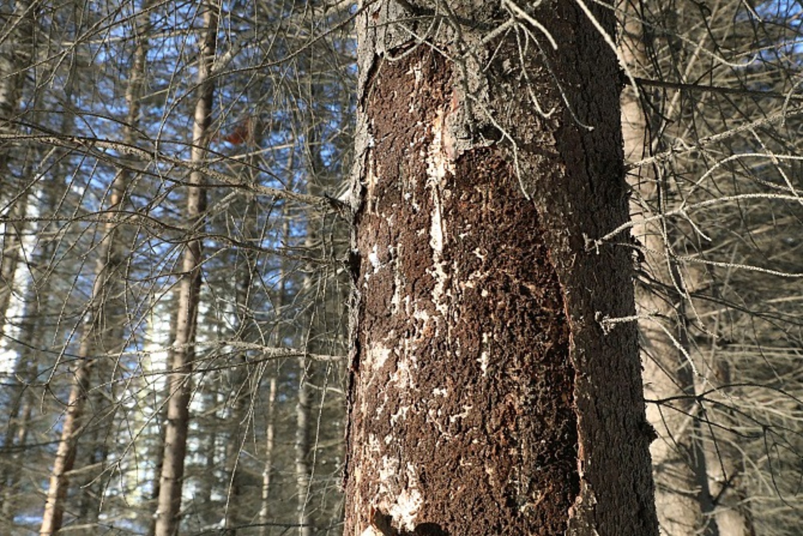 Администрация Уфы.