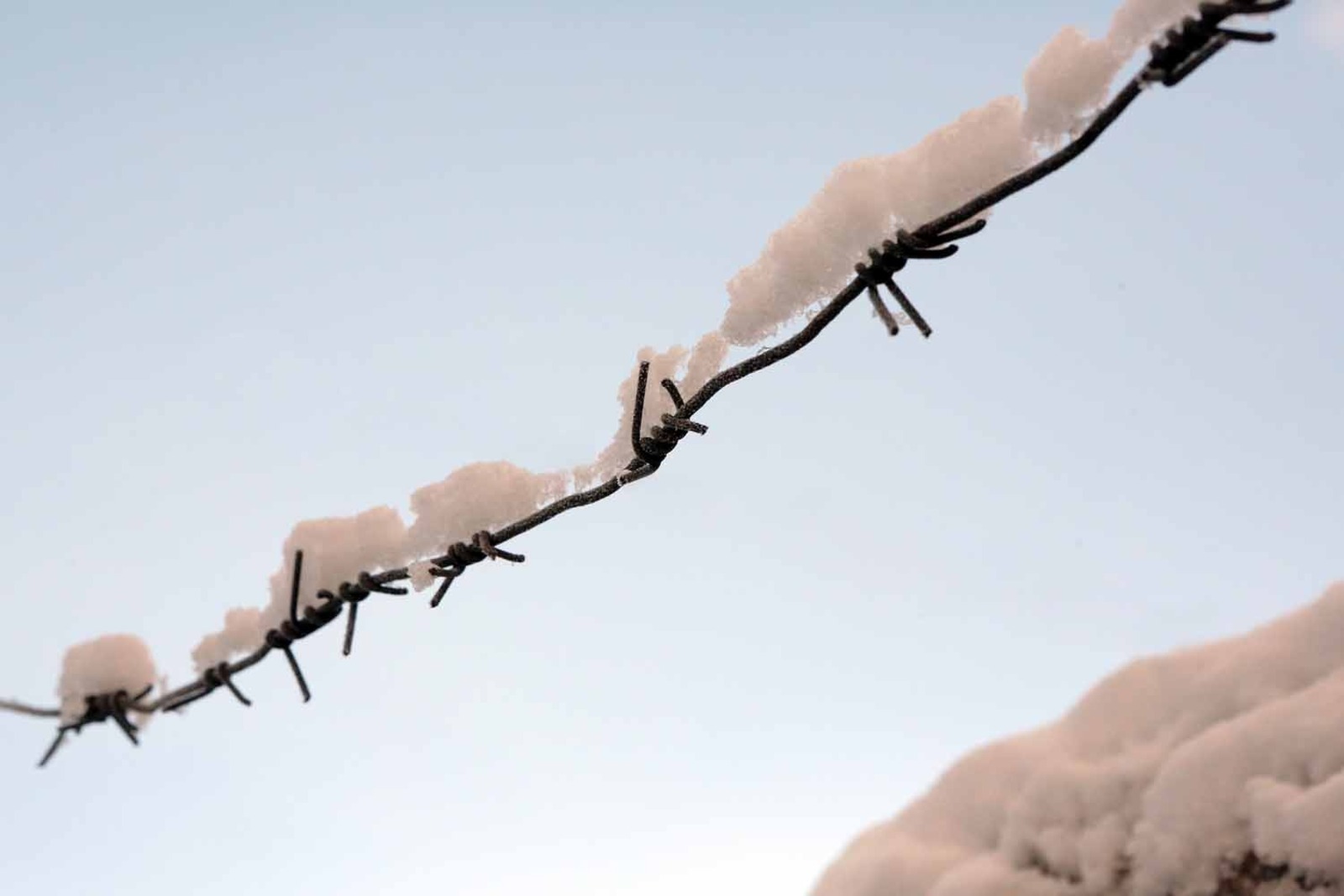 Александр ДАНИЛОВ