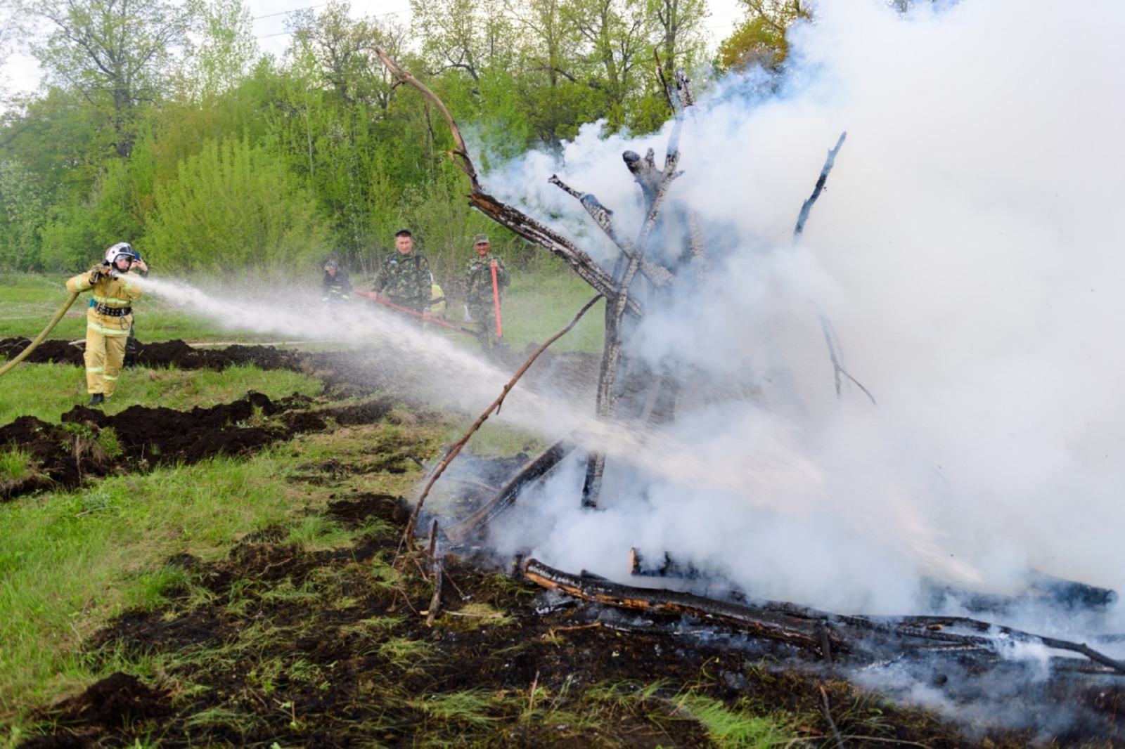 В Башкирии произошёл первый лесной пожар