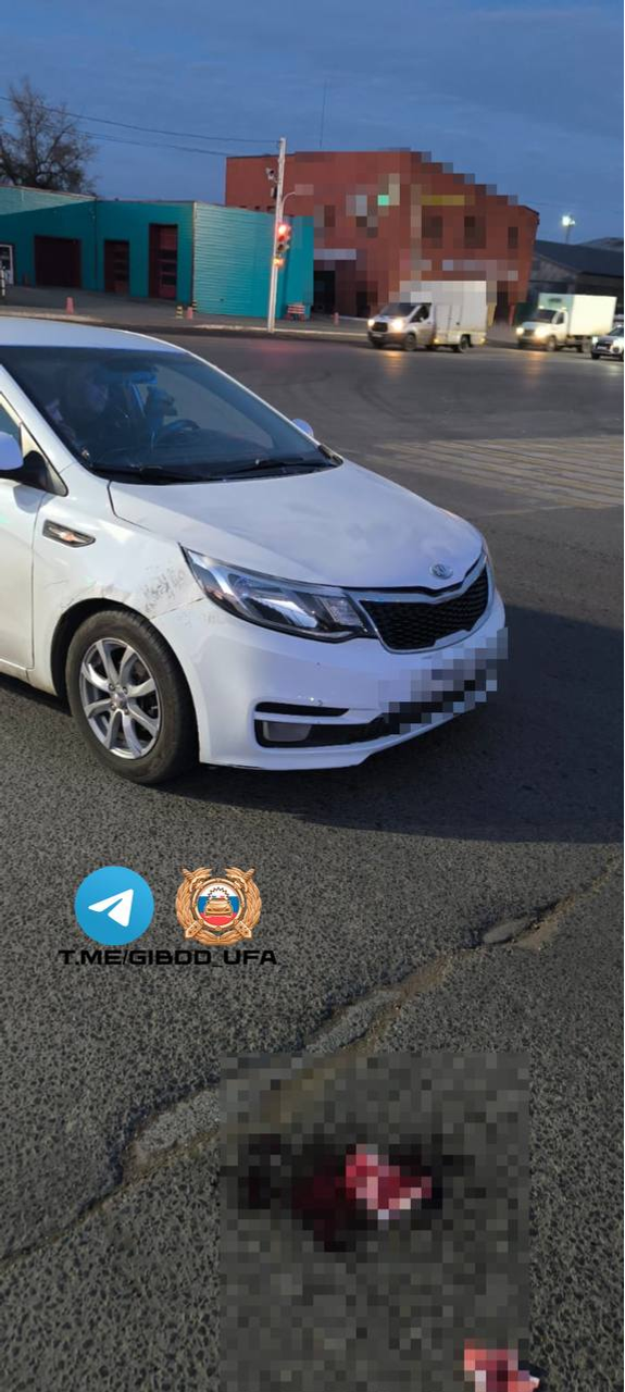 В Уфе после наезда госпитализирован пешеход