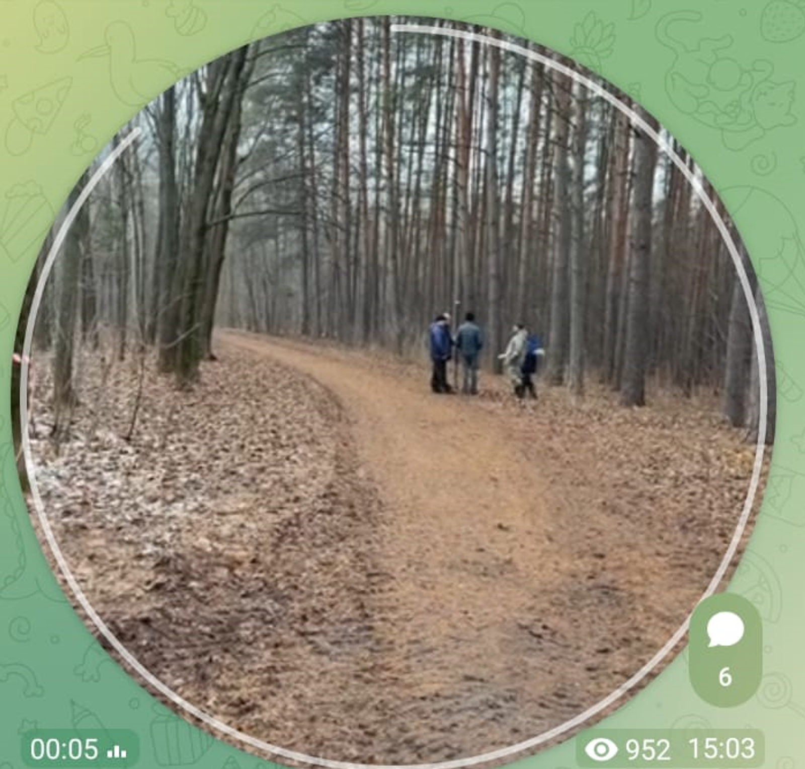 В Уфе началось благоустройство дендропарка имени Георгия Рутто