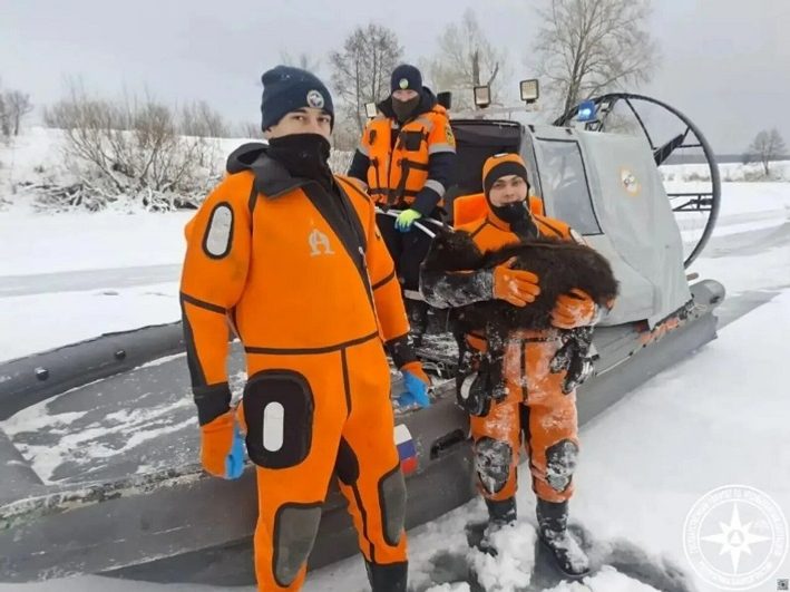 В Башкирии со дна озера подняли уже более 1300 утонувших овец