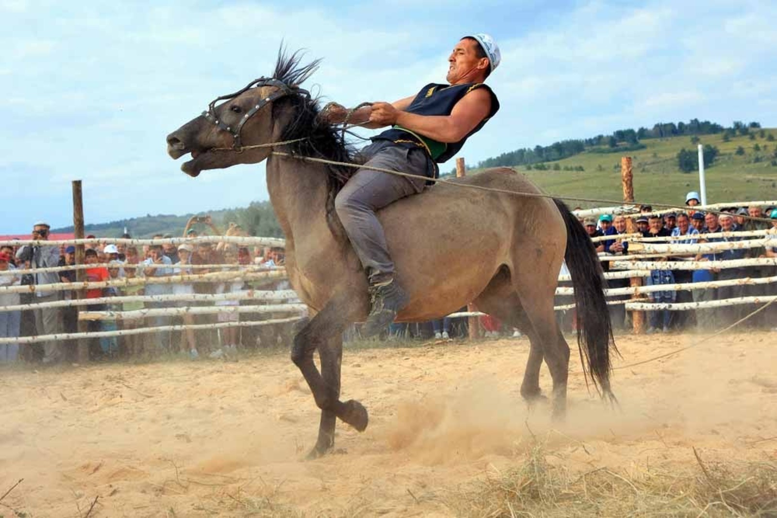 Фестиваль лошадей башкирской породы «Башкорт аты» пройдет с 11 по 13 августа