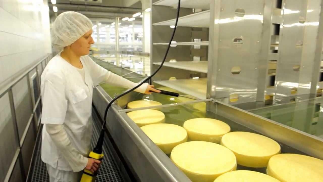 Радий Хабиров оценил достоинства башкирского сыра