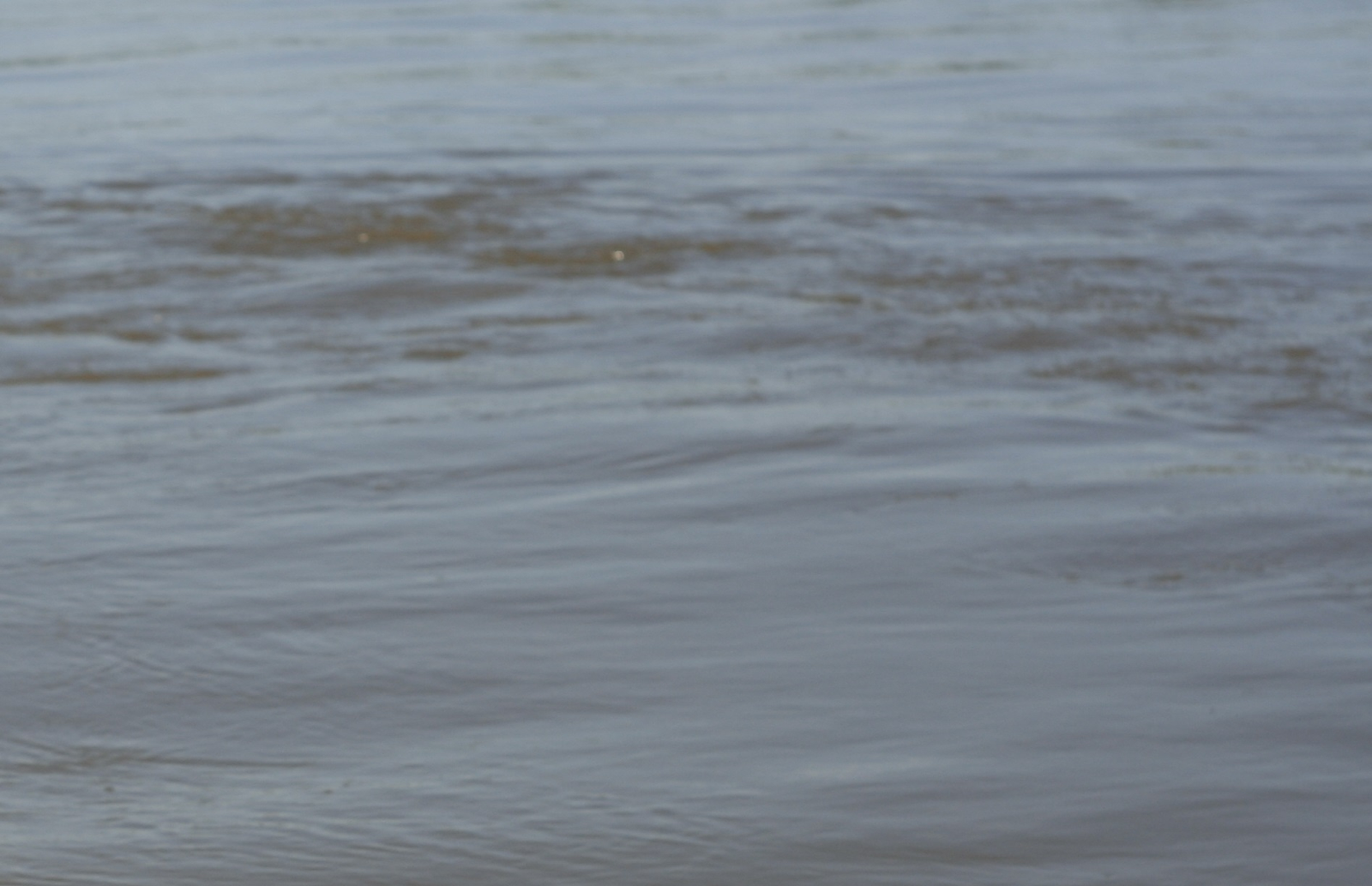 В Башкирии пропал мужчина во время подводной охоты