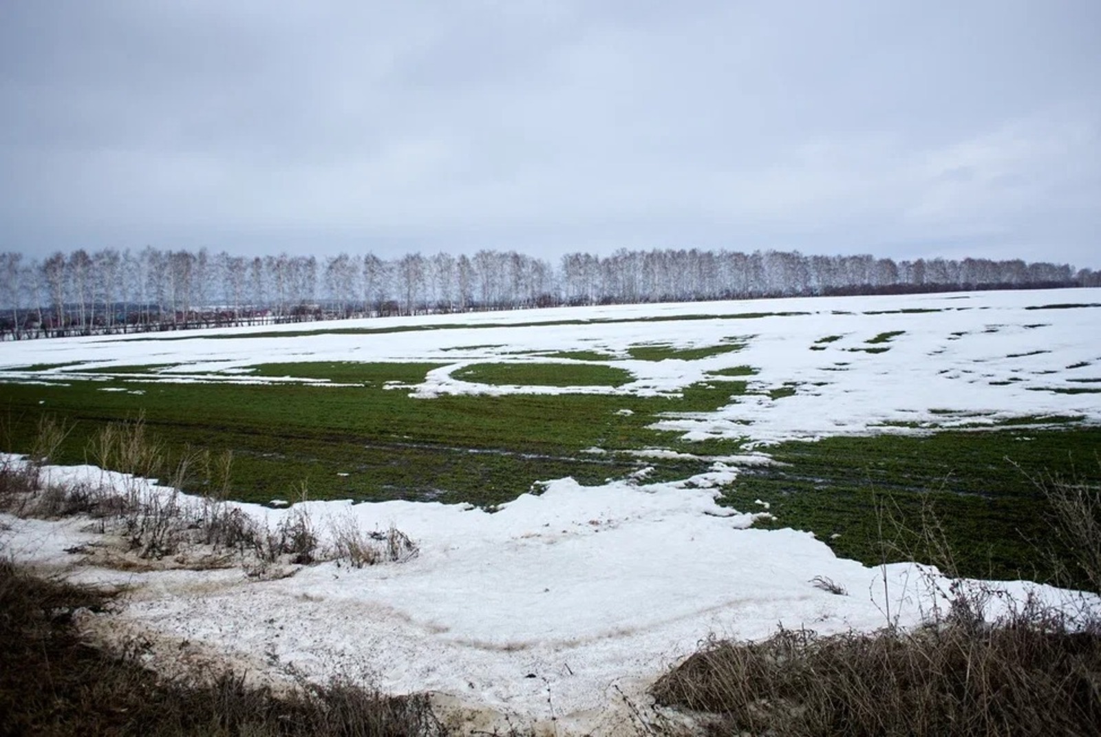 Альберт ЗАГИРОВ.