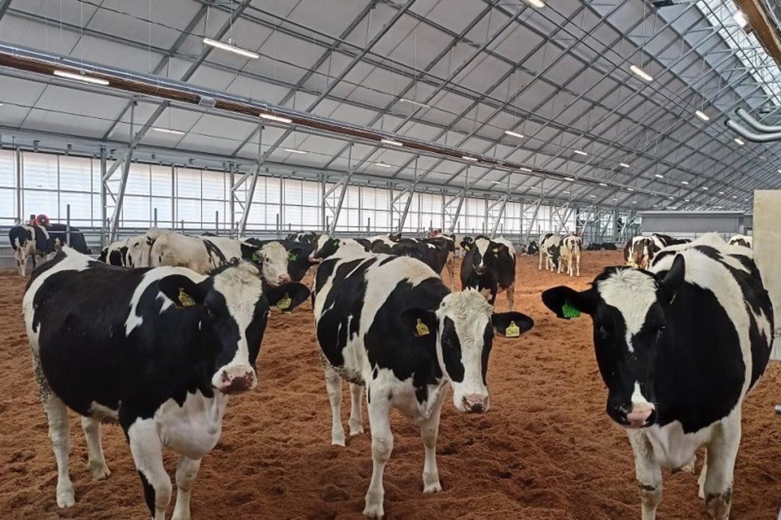 пресс-служба минсельхоза РБ.