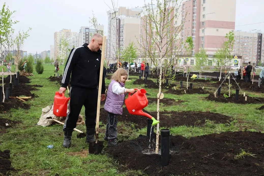 В Башкирии высажено более 5,5 тыс. крупномеров и почти 100 тыс. кустарников