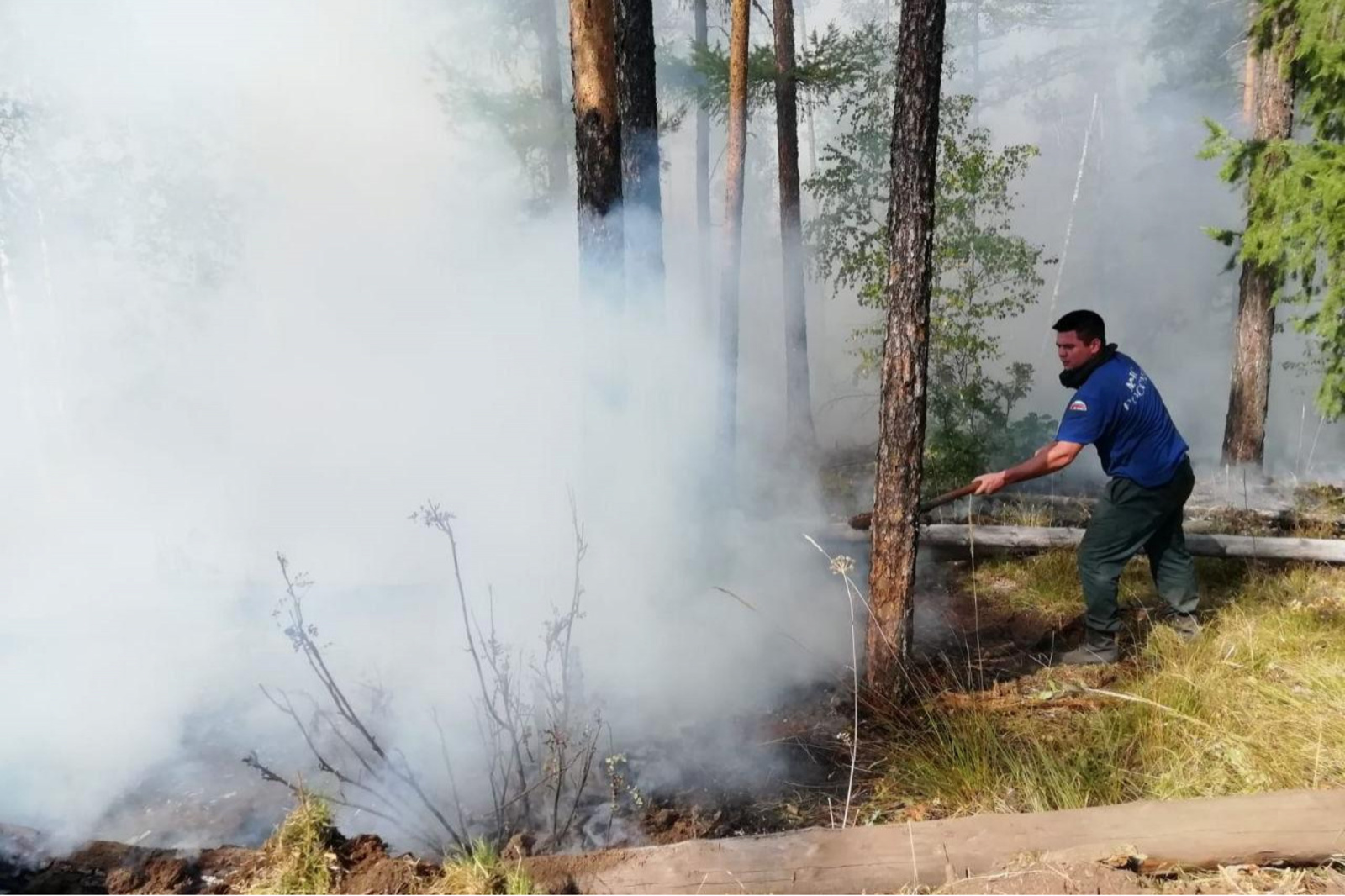 Ущерб от лесных пожаров в Башкирии составил 25 миллионов рублей