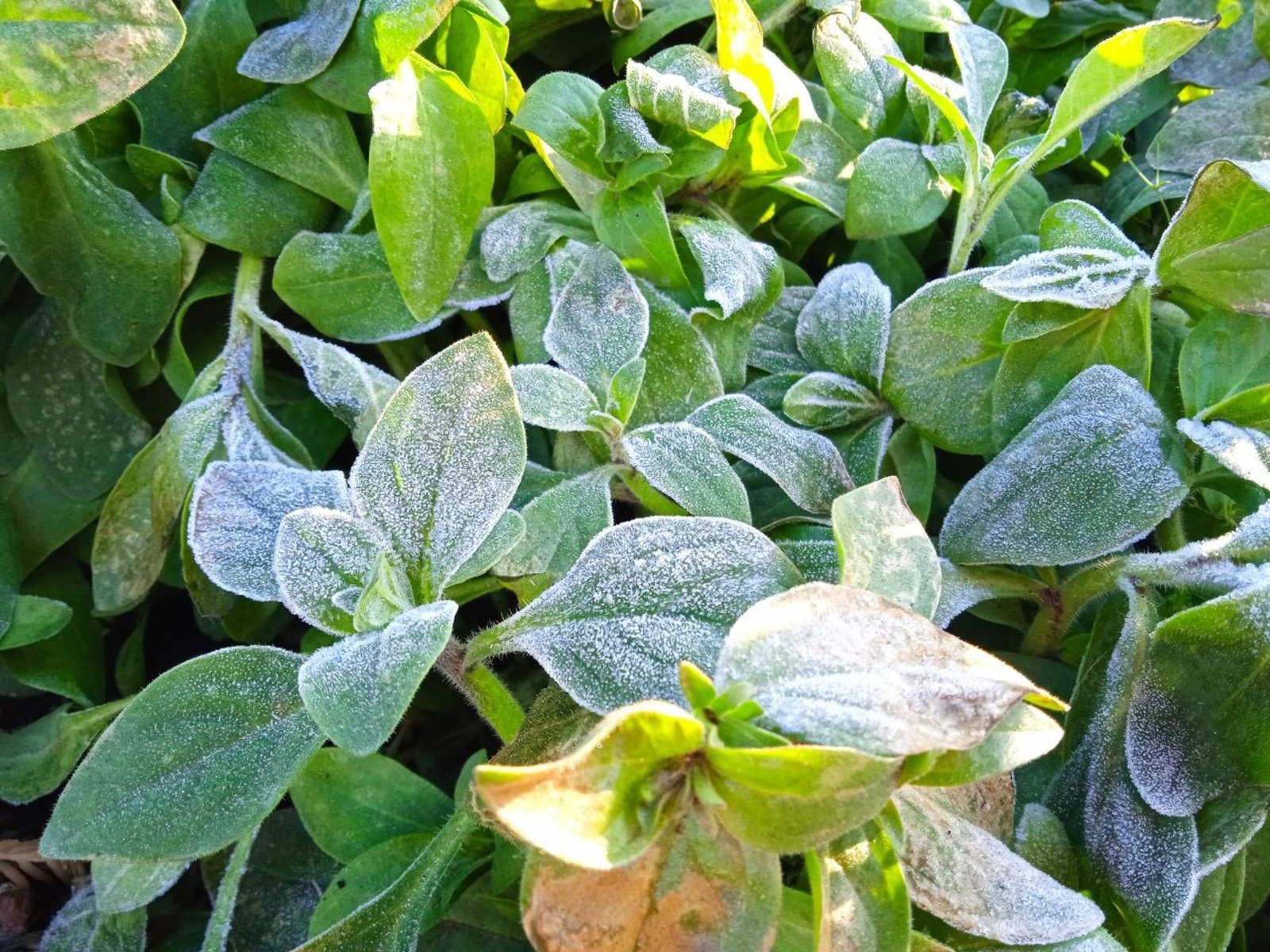 Вадим АНДРЕЕВ