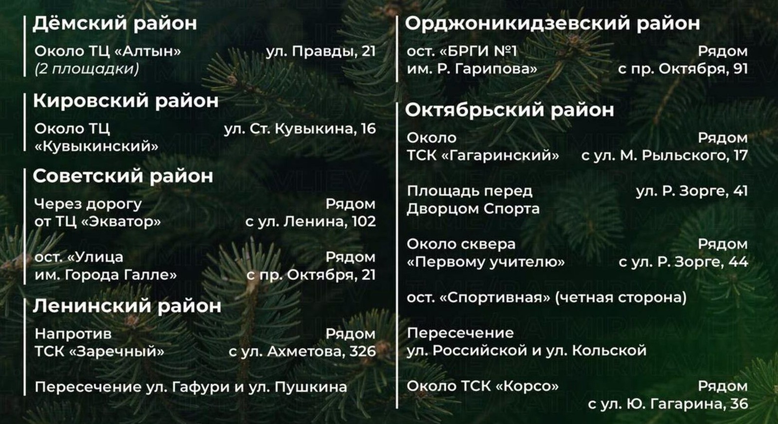 инфографика со страницы в ВК Ратмира Мавлиева