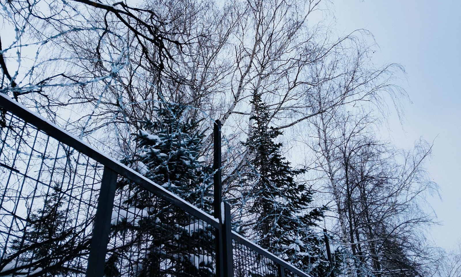 Вадим АНДРЕЕВ