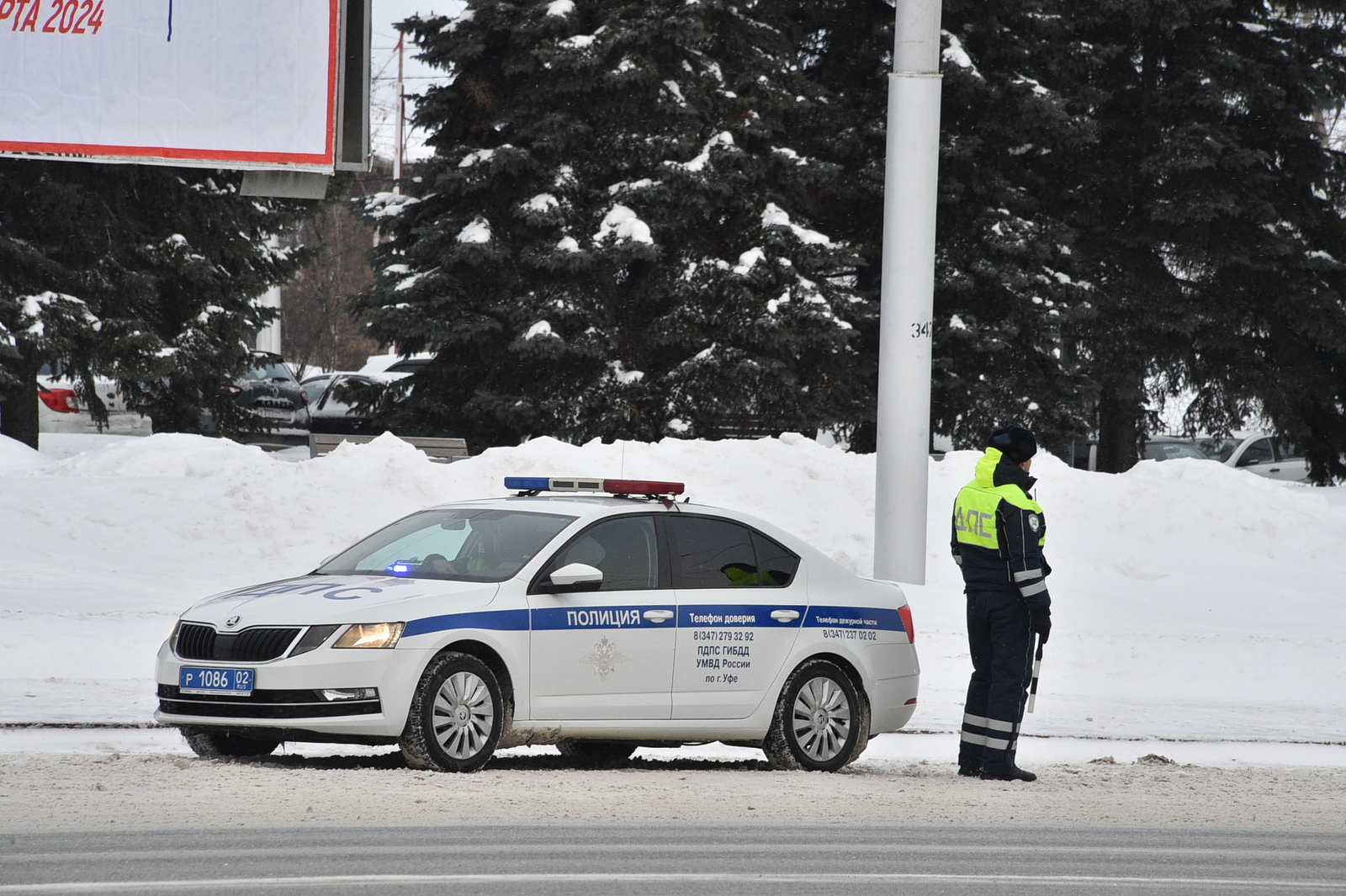 Ёлки под защитой: в Башкирии началась операция «Ель»