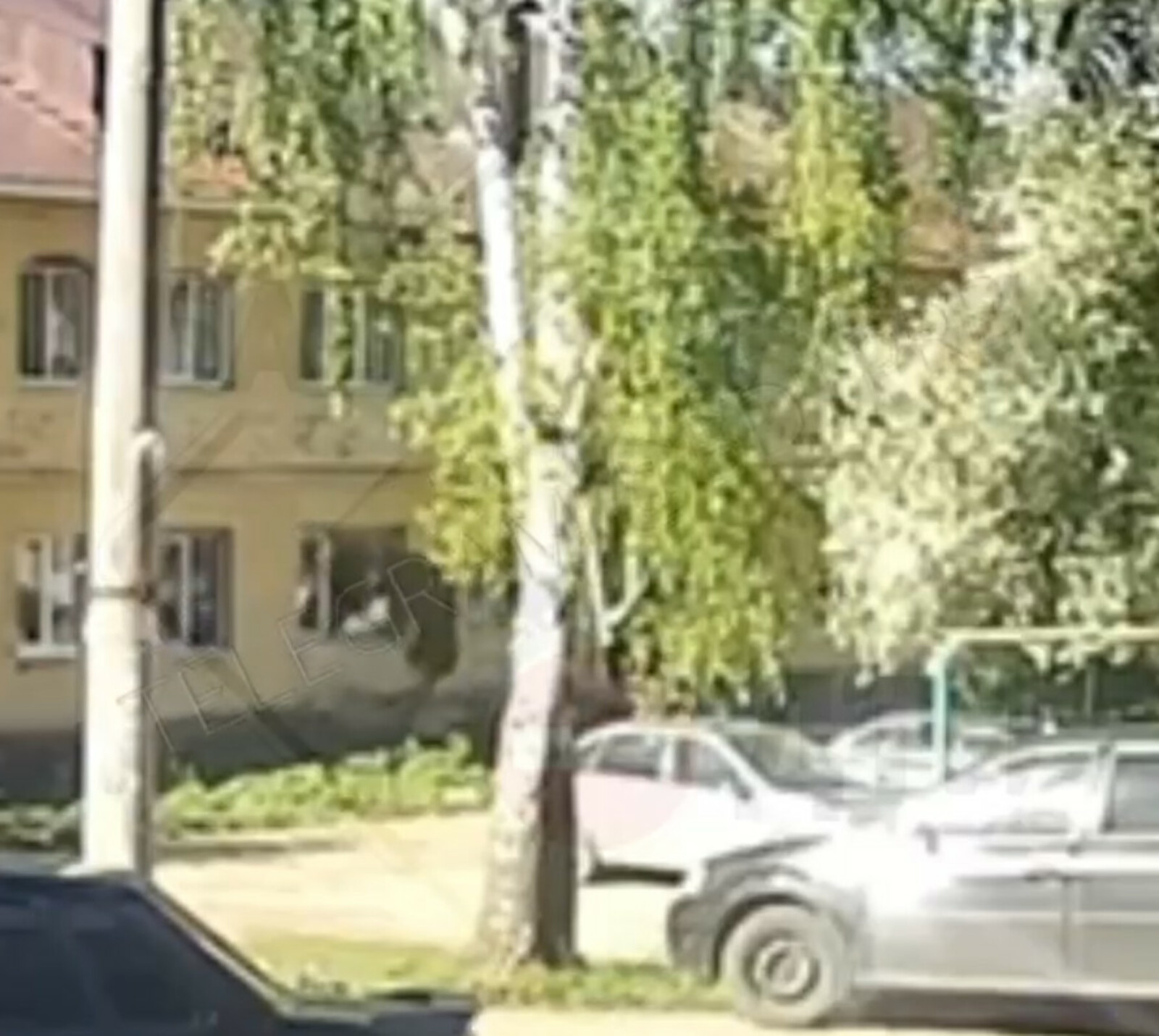 скриншот видео