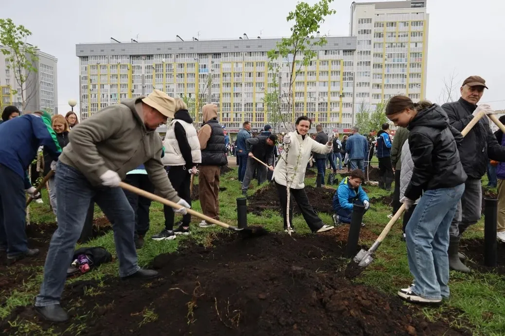 В Башкирии высажено более 5,5 тыс. крупномеров и почти 100 тыс. кустарников