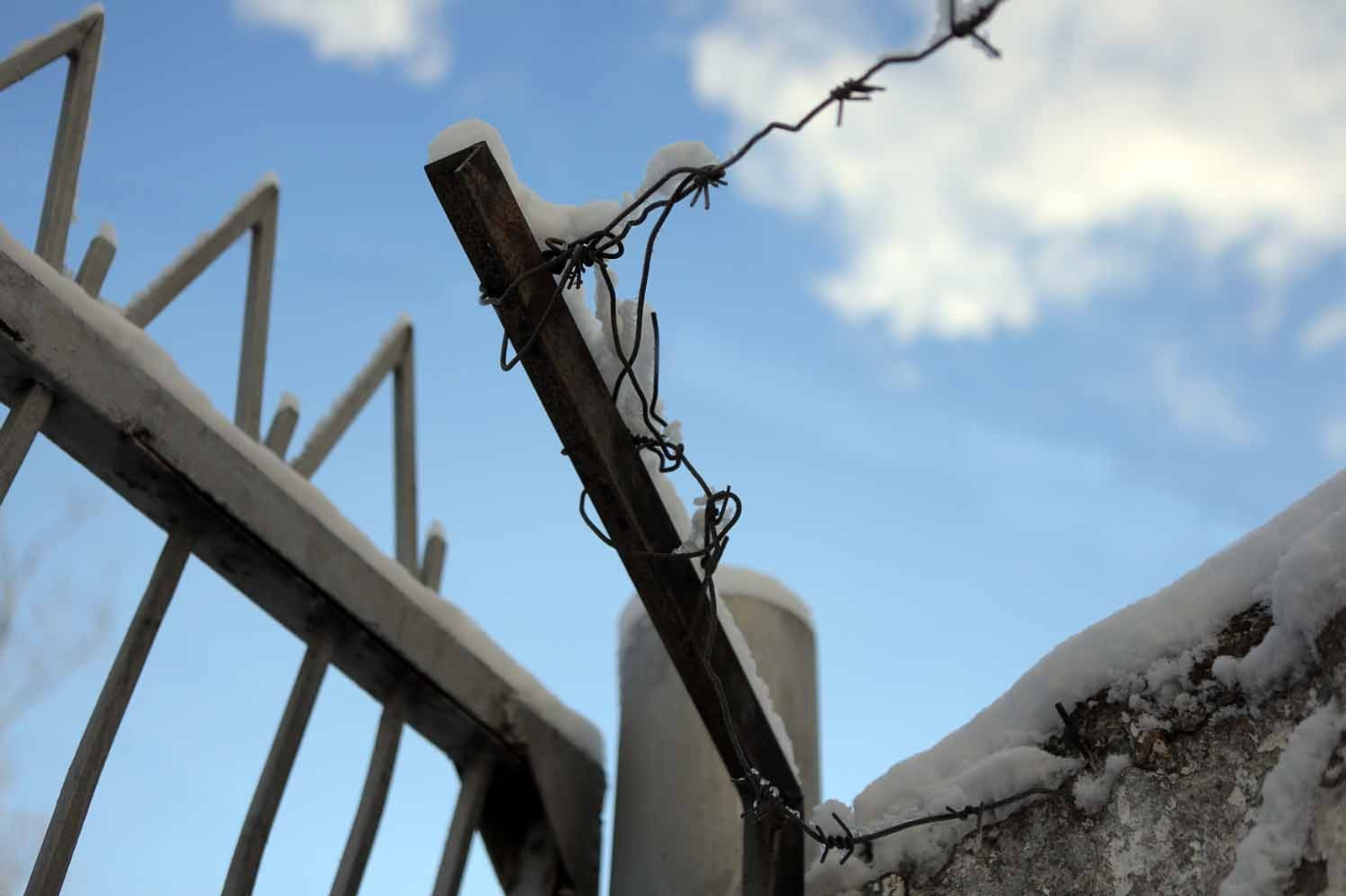 Александр ДАНИЛОВ