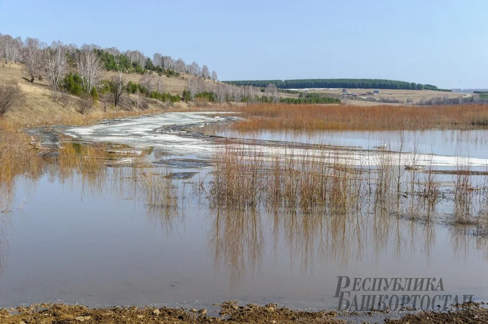 Альберт ЗАГИРОВ.