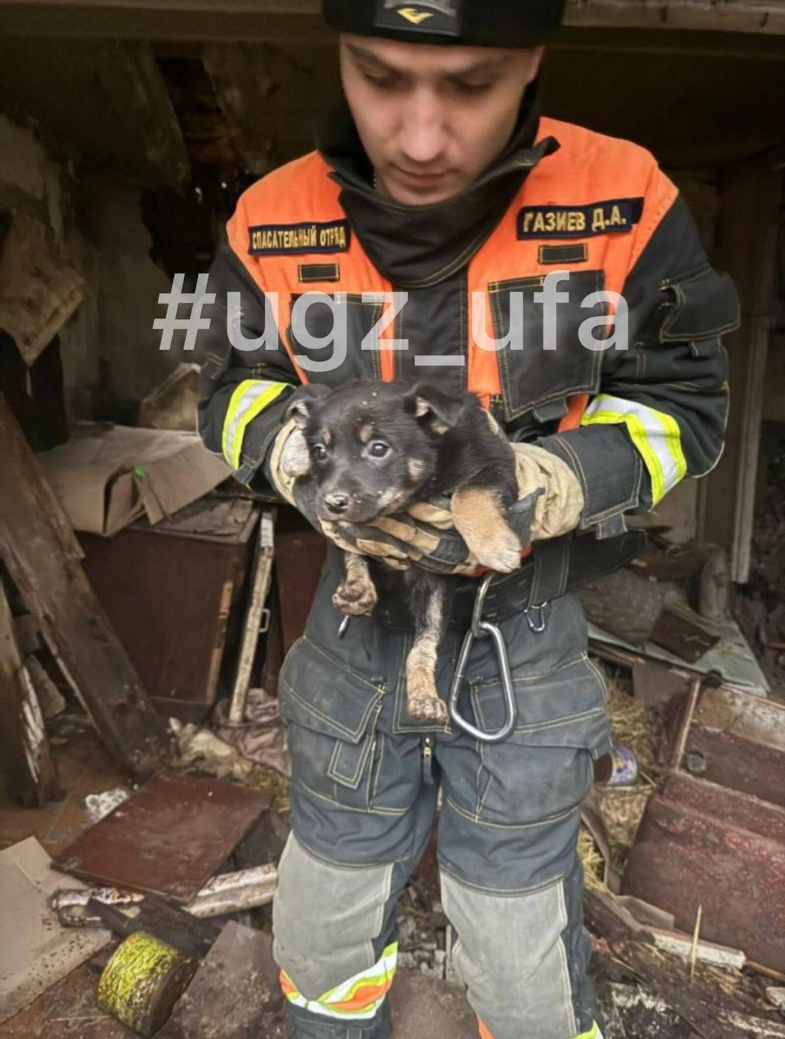 В Уфе спасатели извлекли щенят из-под завалов заброшенного дома