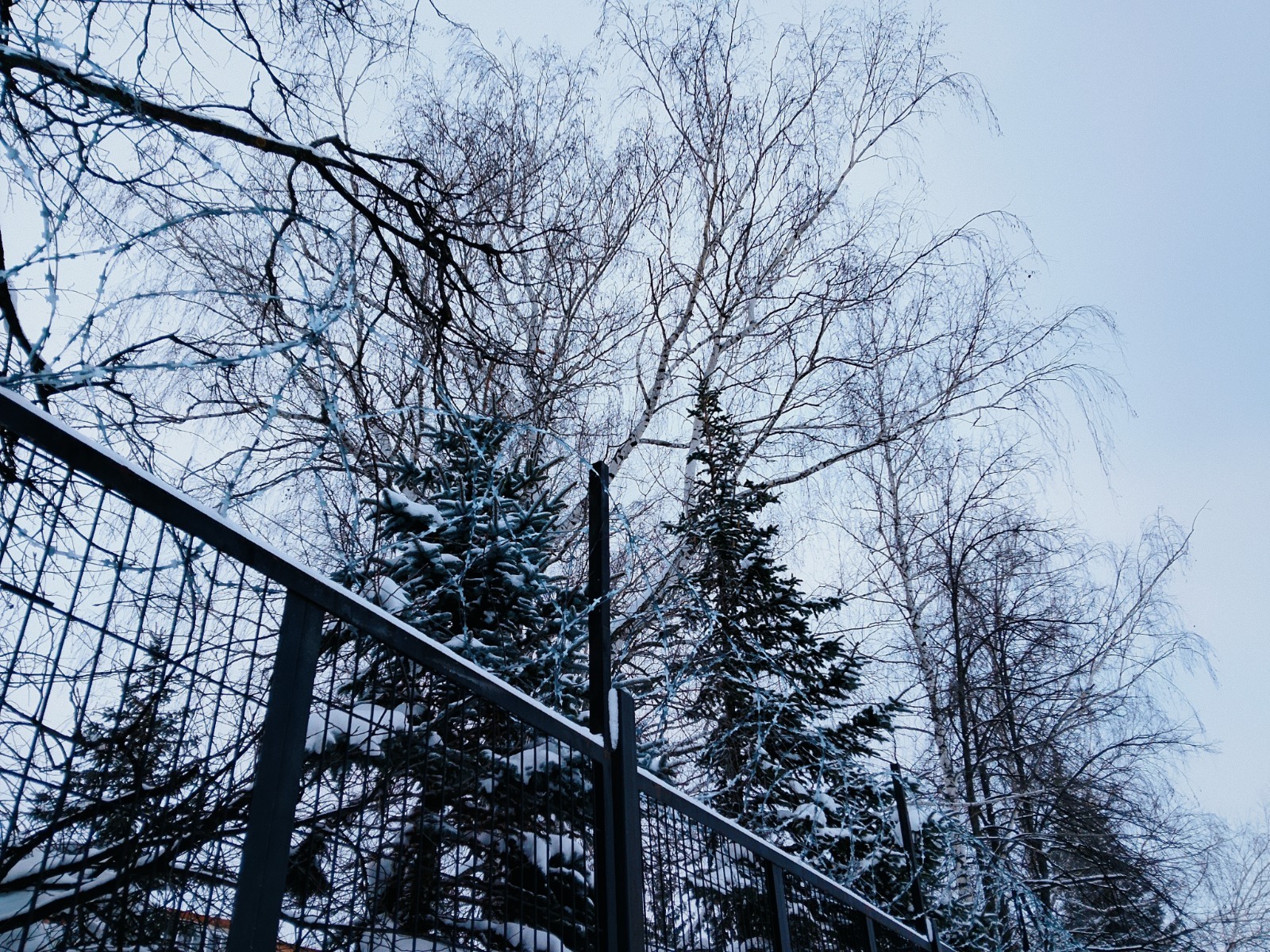 Вадим АНДРЕЕВ