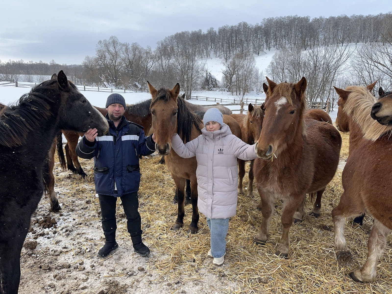 Ильгиз РАФИКОВ  Урал и Лейсян — фермеры нового поколения.