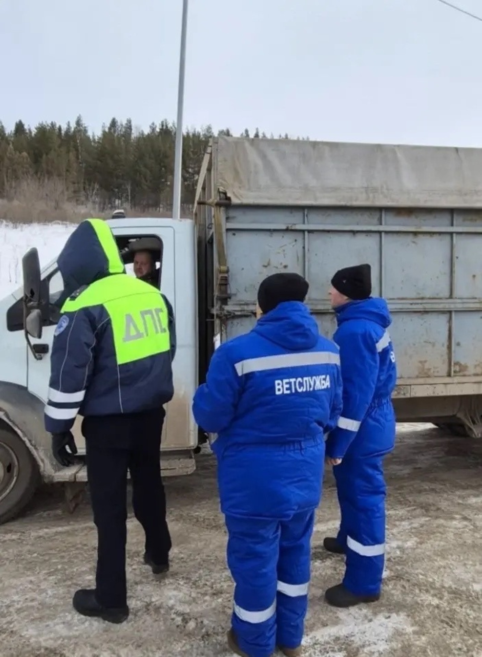 Андрей Назаров ВК.