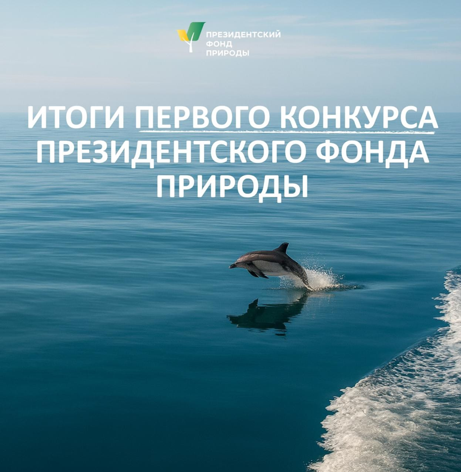 Президентский фонд природы выделит Башкирии средства на пять проектов