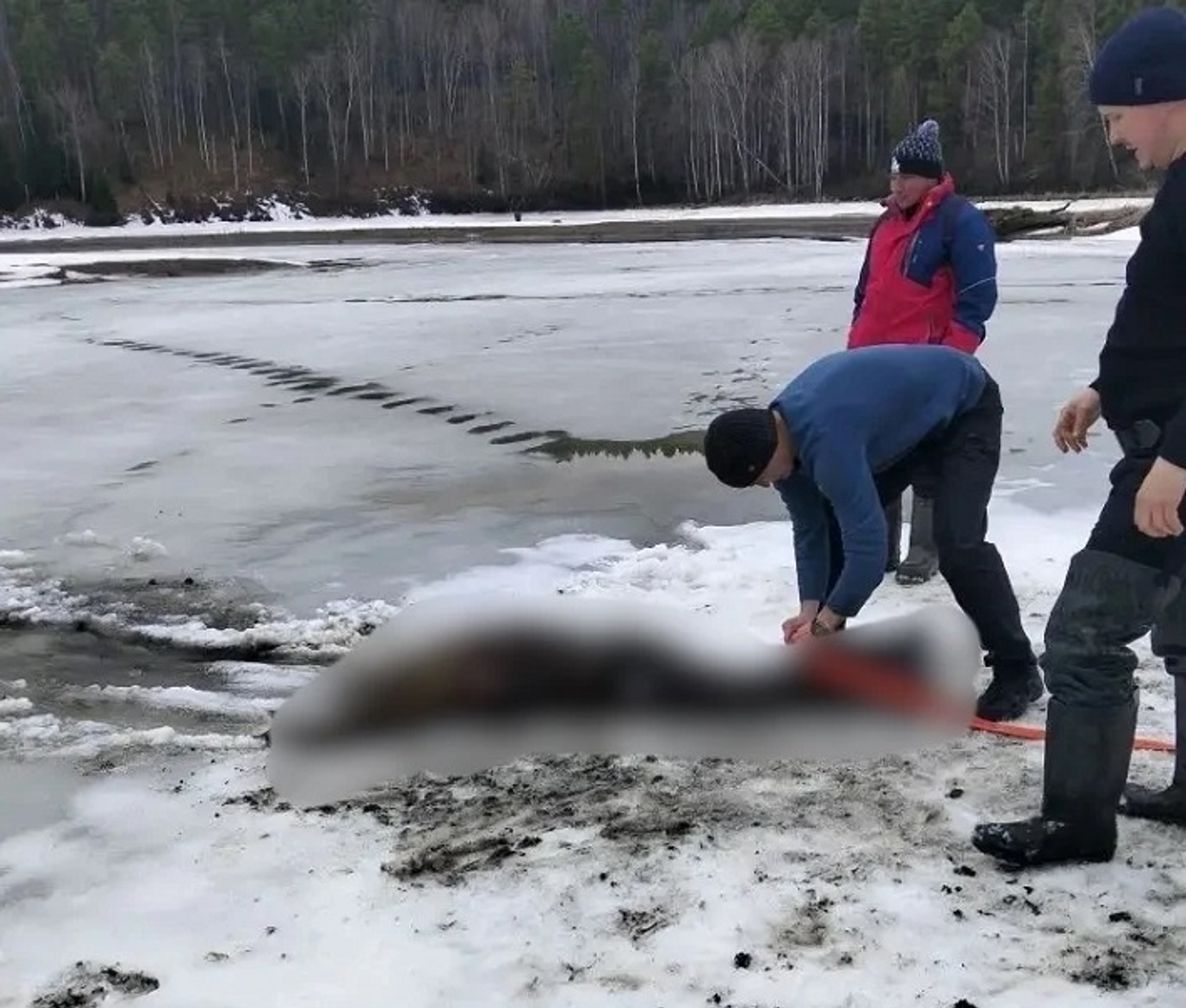 В Башкирии из пруда достали тело пожилого мужчины