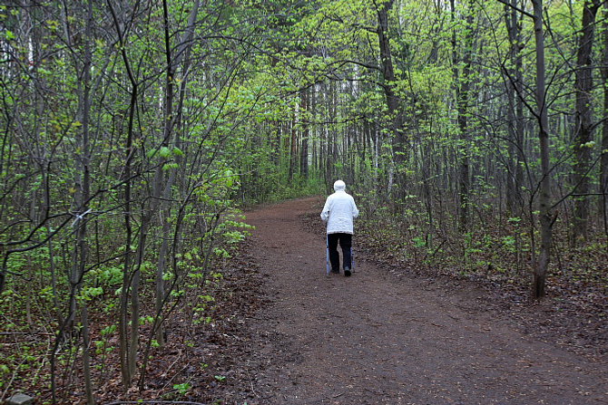 В Уфе благоустроят дендропарк имени лесовода Георгия Рутто