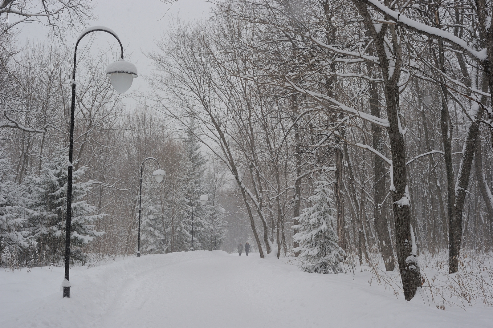 В Уфе пройдёт бесплатный киносеанс