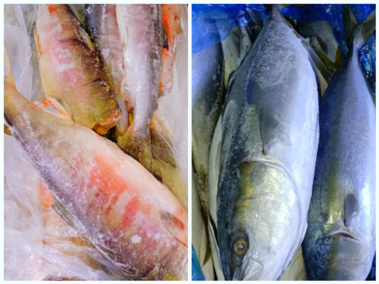 В Уфе в выходные пройдут сельскохозяйственные ярмарки