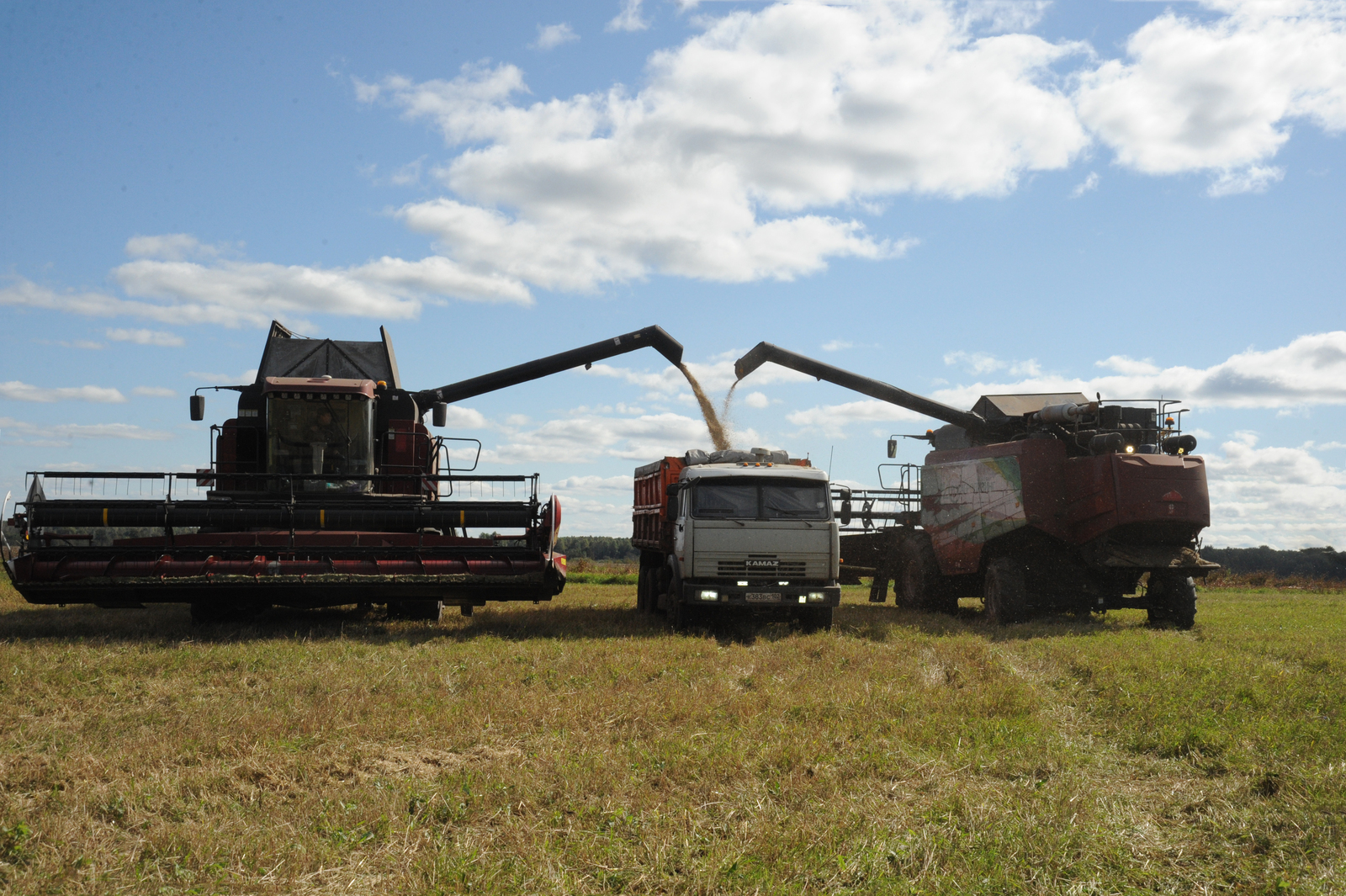 Ринат РАЗАПОВ  Несмотря на климатические каверзы, аграрии соберут урожай зерна не ниже прошлогоднего.