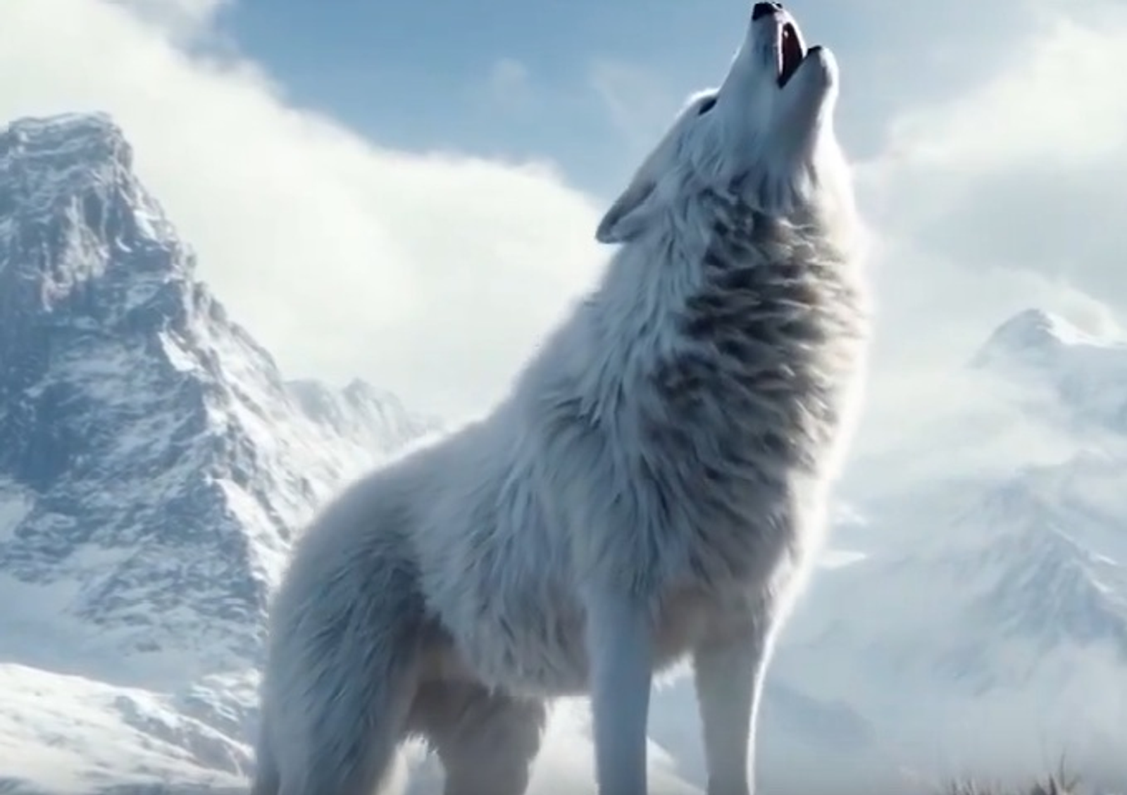 В Уфимском районе Башкирии заметили волков