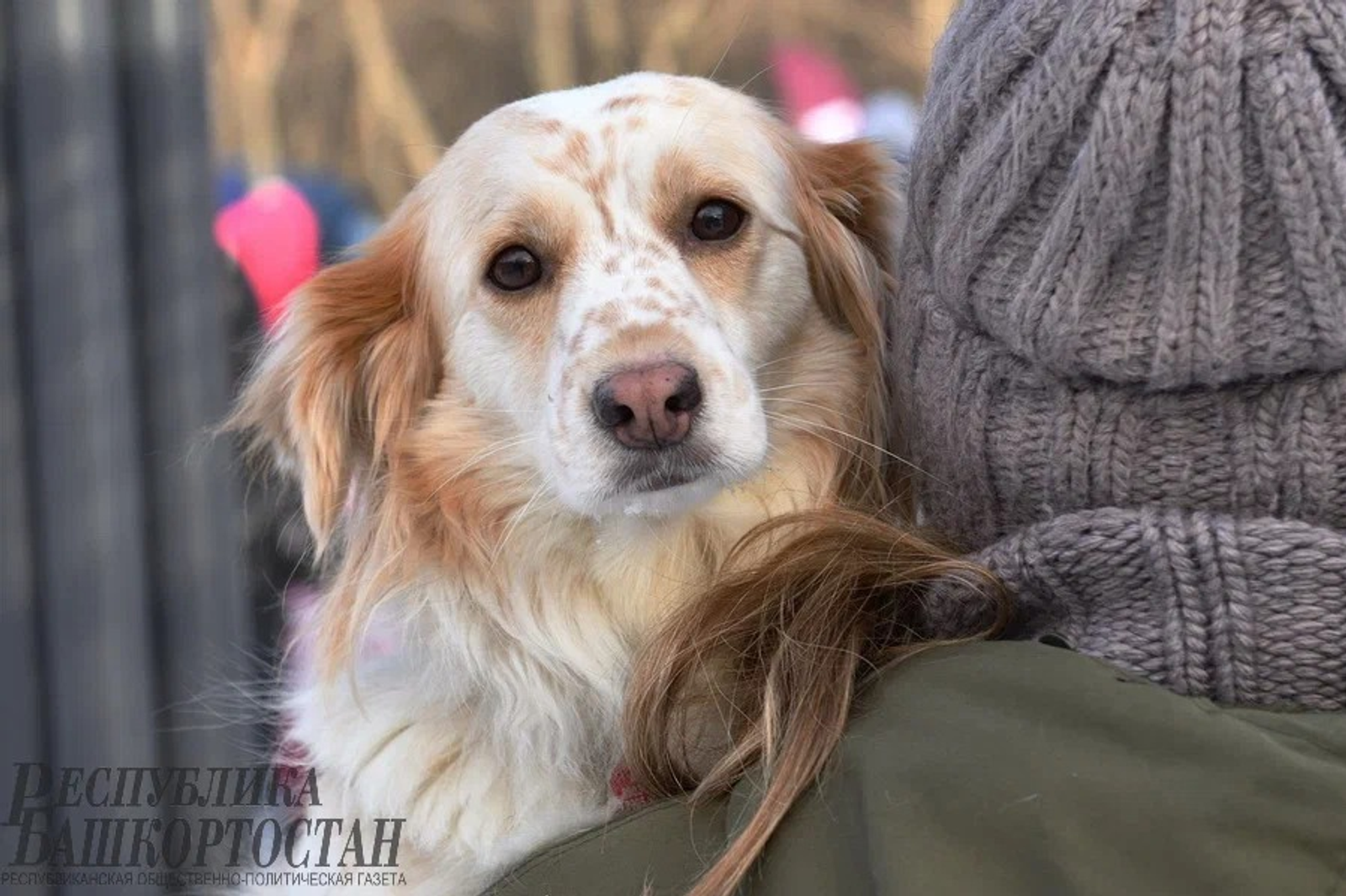 Альберт ЗАГИРОВ.