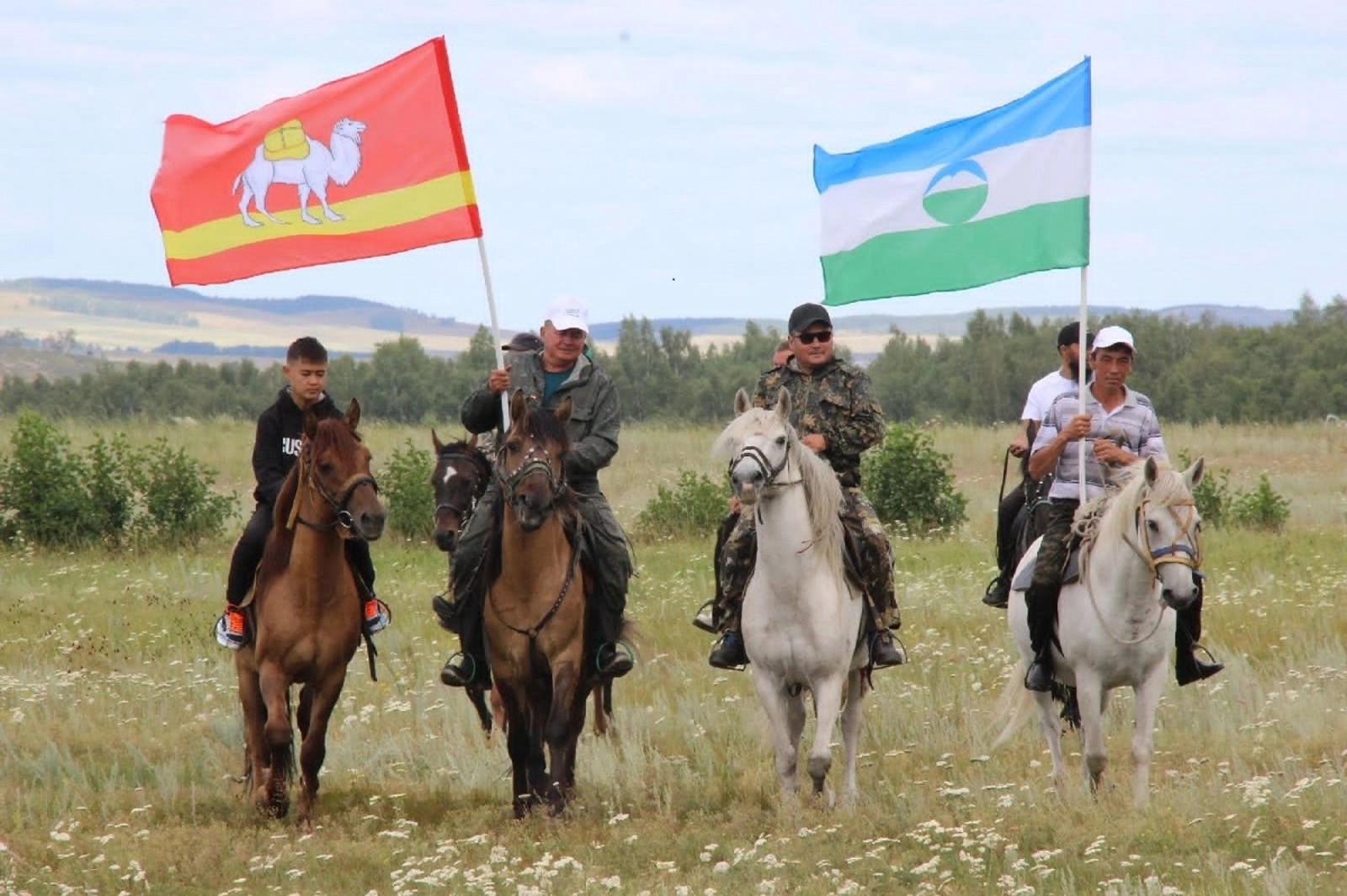 Проблему сохранения лошадей башкирской породы поддержат в Челябинской области