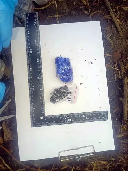 В Уфе сотрудники ДПС задержали наркосбытчицу — пассажирку легковушки