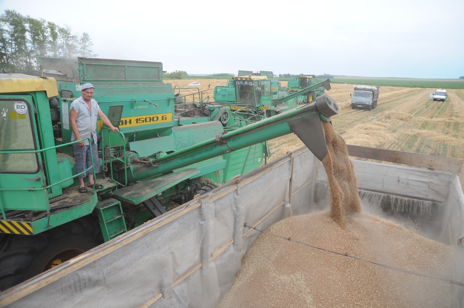 Ринат РАЗАПОВ  В Башкирии собрали полтора миллиона тонн зерна